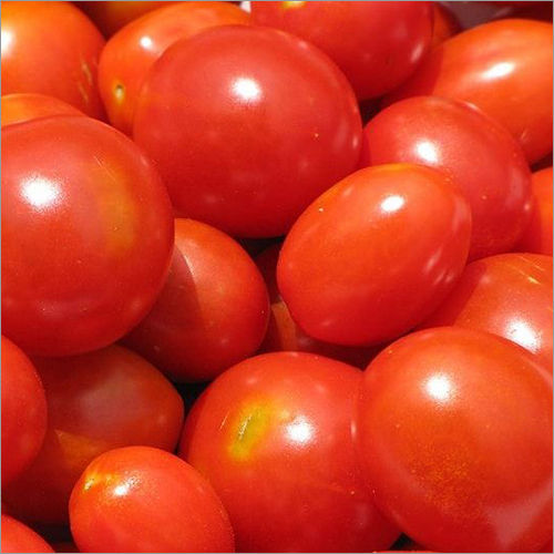 Fresh Tomatoes