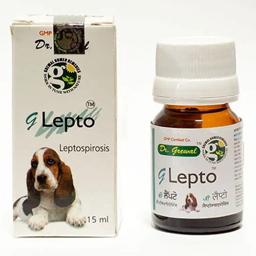 G Lepto Leptospirosis 