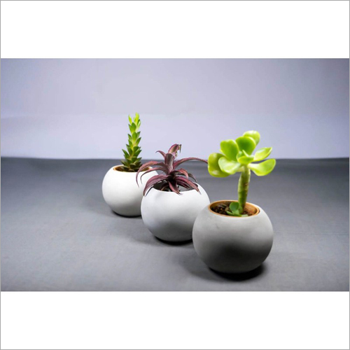SPHERE PLANTER By GEOMETRY-ALIGNING YOUR SPACE
