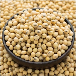 Soybean Seeds By REDRA BUSINESS CO., LTD.