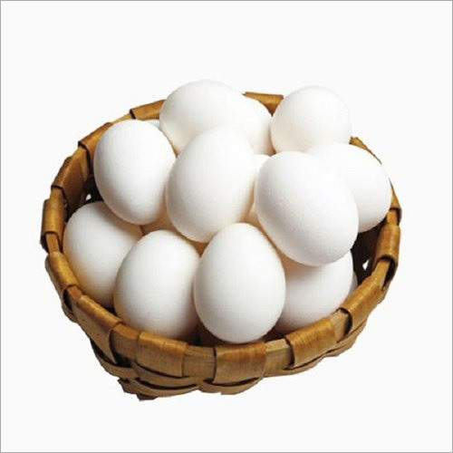 White Egg Egg Origin: Chicken