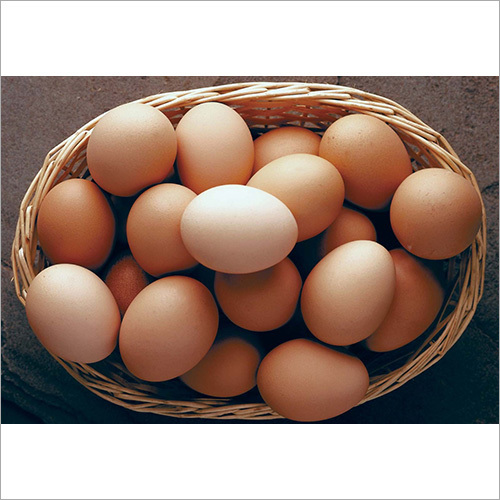Brown Egg Egg Origin: Chicken