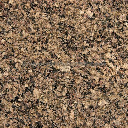 Desert Brown