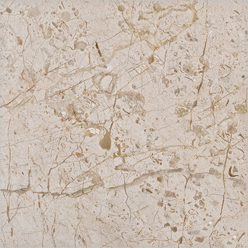 Fossil Beige Marble