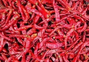 chili pepper(Capsicum Extract)