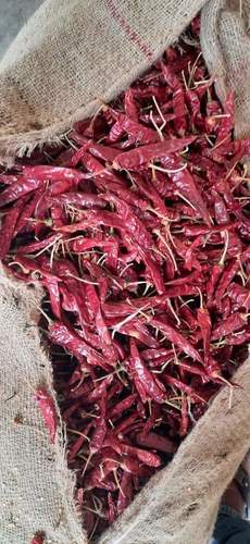 Dry Red Chilli ( Guntur Mirchi )