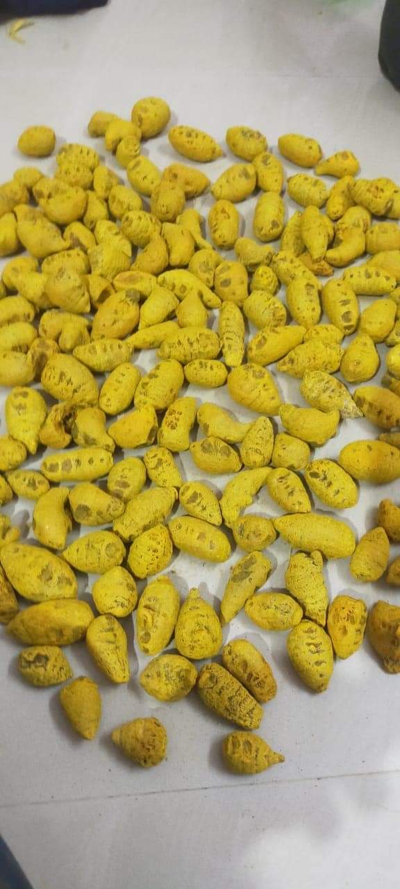 Gatta Haldi ( Dry Turmeric)