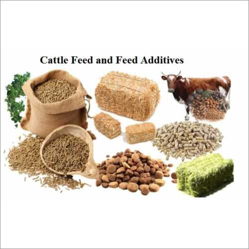 Granule Cattle Feed And Feed Additives