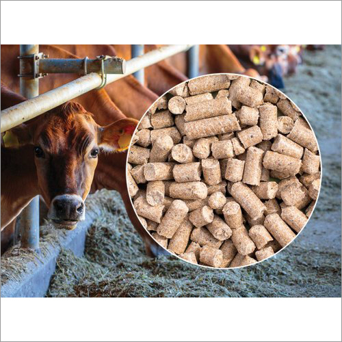 Granule Cow Cattle Feed at Best Price in Alwar Shri Ram Krishi Udhyog