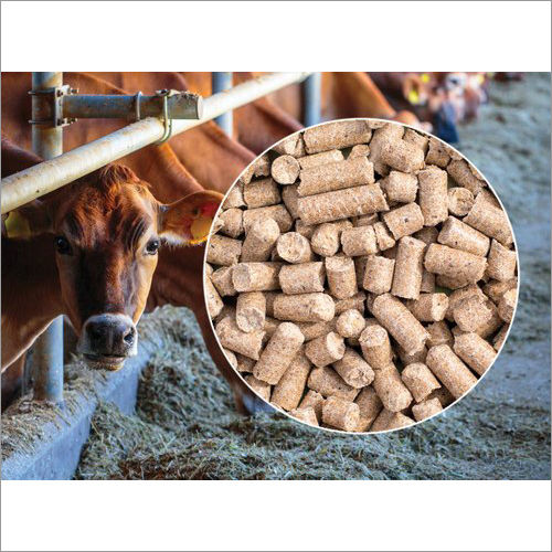 Cow Cattle Feed