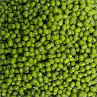 Indian Organic Green Gram - Admixture (%): Max 1%
