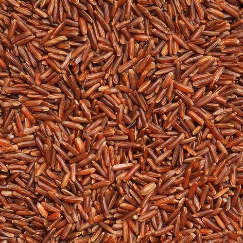 Wholesale High Quality Brown organic Rice 5% Broken