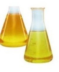 Ganoderma lucidum essential oil