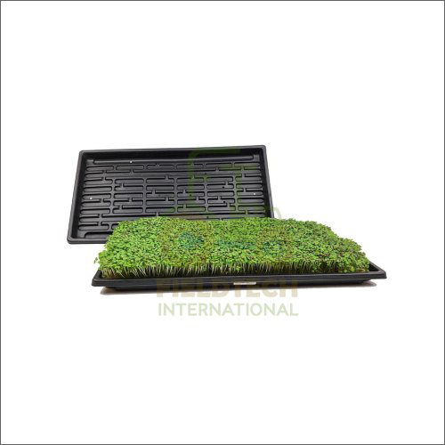 Microgreen Seedling Tray