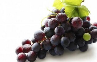 Grape seed essential oil By AUSMAUCO BIOTECH CO., LIMITED