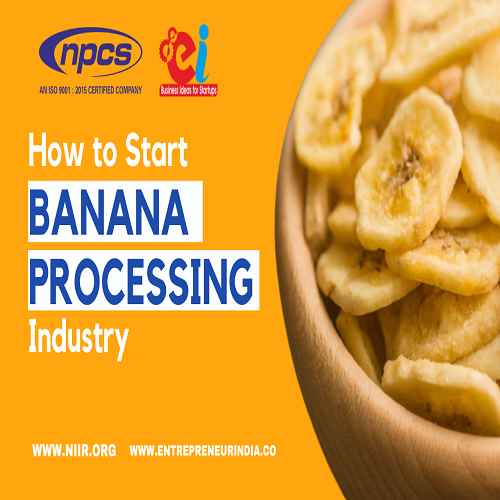 Feasibility Study Report for Banana Processing Industry