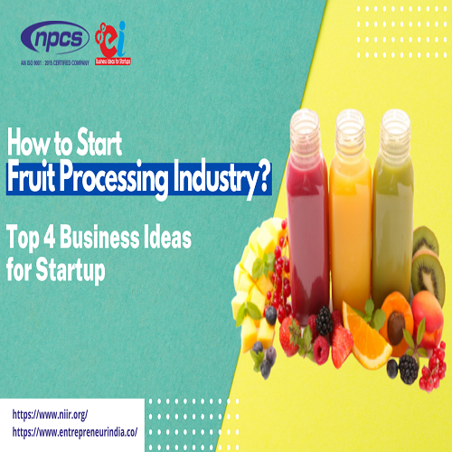 Business Plan for Fruits Processing Industry