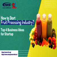 Business Plan for Fruits Processing Industry