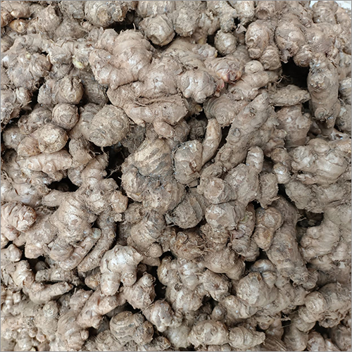 Seasoned Black Ginger