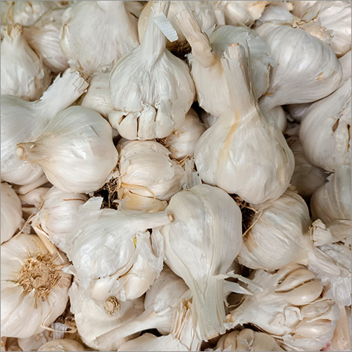 Seasoned Fresh Garlic