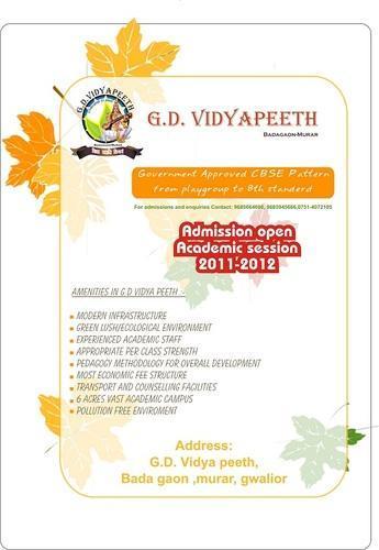 Advertisement Flyer Design Service By LASSOART DESIGNS