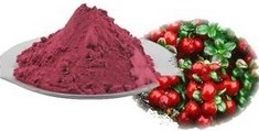 Cranberry extract powder
