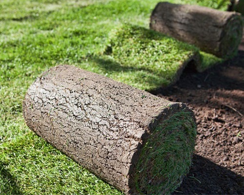 Natural Lawn Grass Carpet - Polypropylene, Flexible, Lightweight | Anti Slip, Easy Maintenance