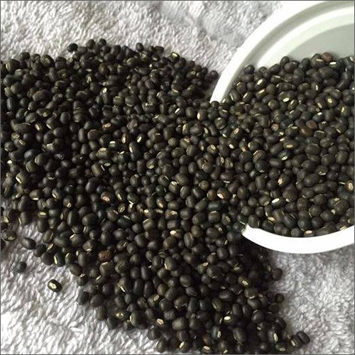 Black Gram Beans By HITESH TRADERS