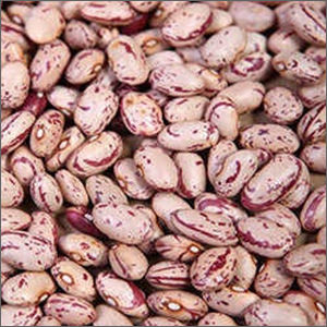 Indian Kidney Beans