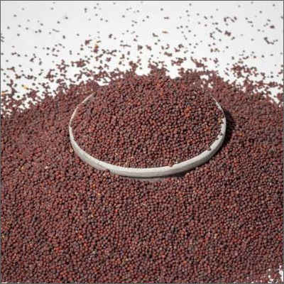 Indian Mustard Seed