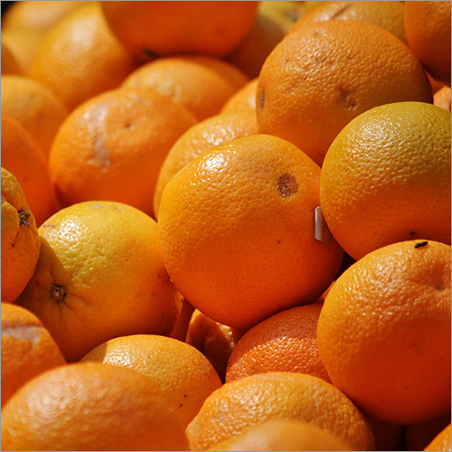 Fresh Orange