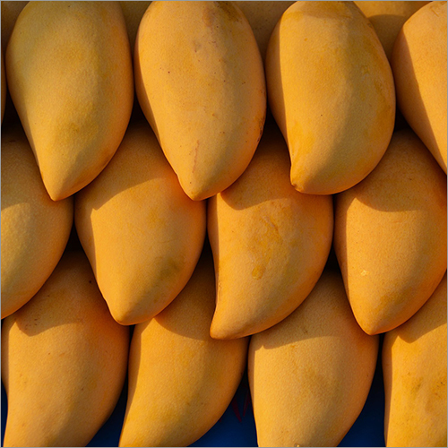 Fresh Mango