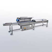 UV Sanitizer Tunnel for Food & Drugs