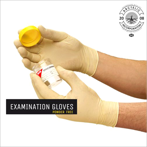 Powder Free Examination Gloves