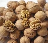 Walnut Kernel Extract By AUSMAUCO BIOTECH CO., LIMITED