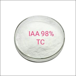 Indole Acetic Acid Powder