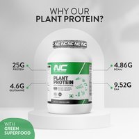 Plant protein Powder