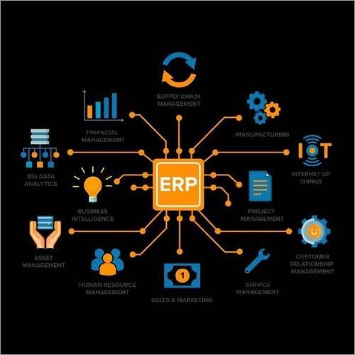 Erp Software Service