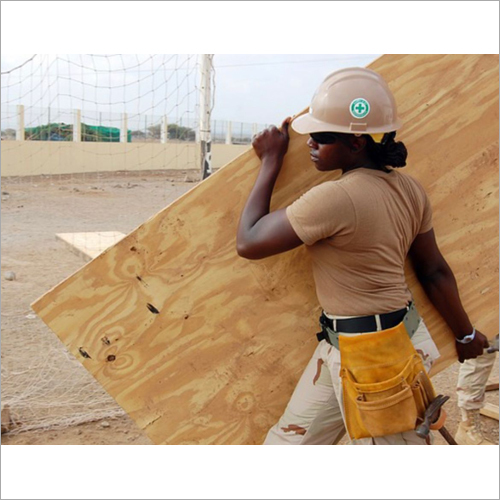 Plain Hardwood Plywood