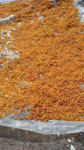 Dry Marigold petals