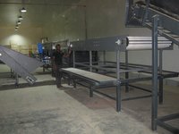 Potato Grading Machine - Capacity: 8-10 T/hr