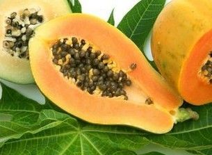 Papaya Extract