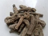 Costus Root Extract Powder