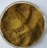 Cistanche tubulosa Extract