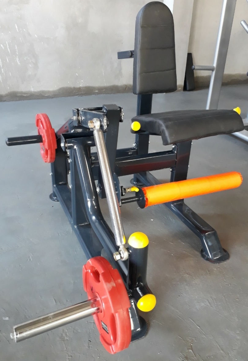 Plate Loaded Leg Curl and Leg Extension Machine