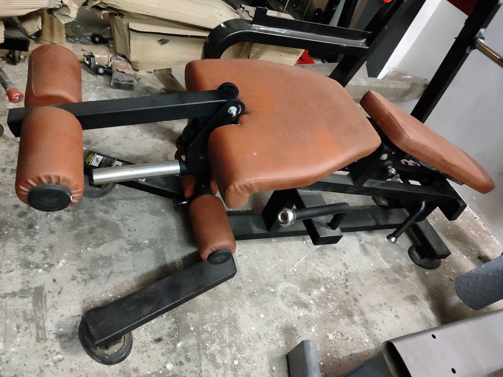 Plate Loaded Leg Curl and Leg Extension Machine