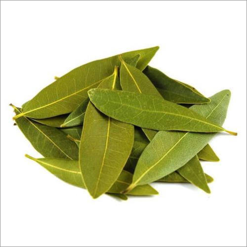 Bay Leaf