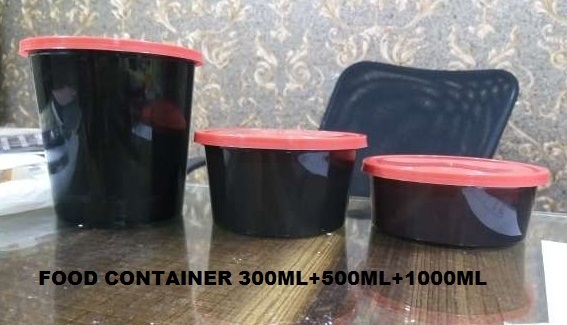 300 MI +500 Ml Take Away Container