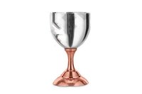 Goblet Glass Two Tone (Mirror Finish)