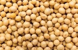 Soya Beans Origin: Nigeria